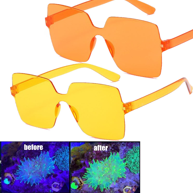 Photography Natural Lighting - Coral Observation Glasses Coral Viewing Glasses