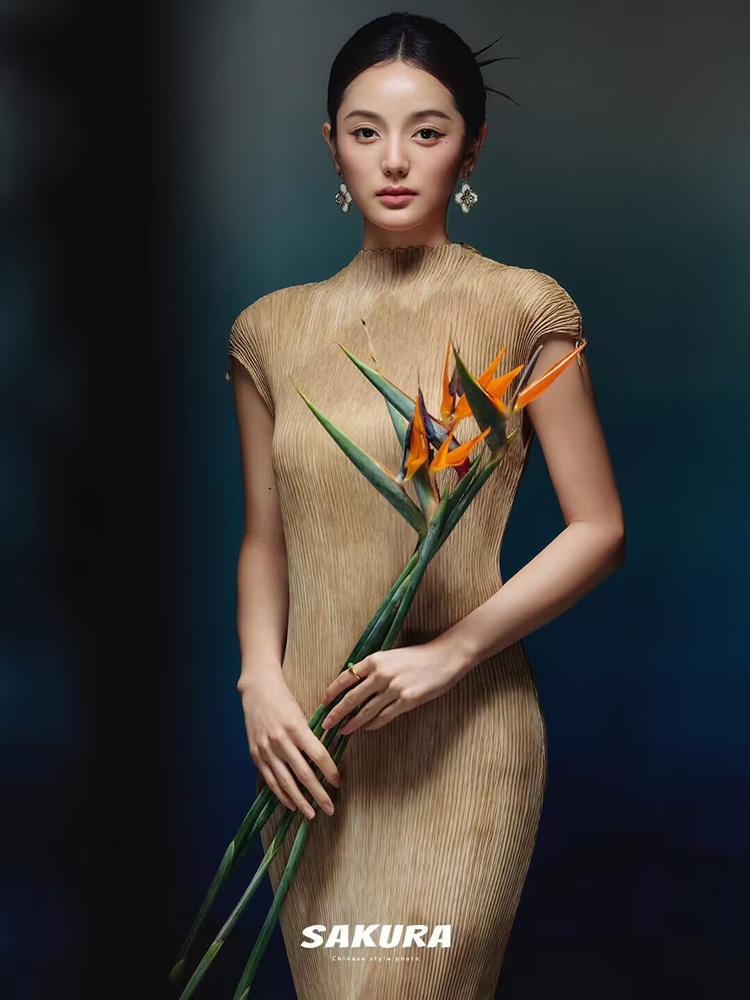 Photography Aesthetic - New 2026 Chinese Style Portrait Photography