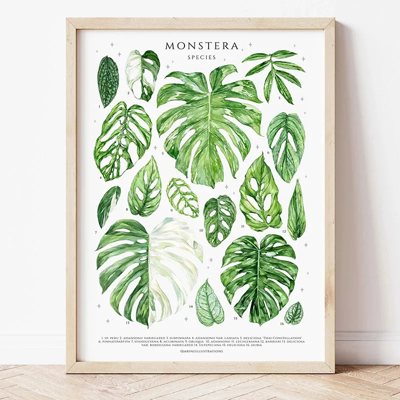 1pc Modern Houseplants Leaves  - đánh giá và giá Photography Pose