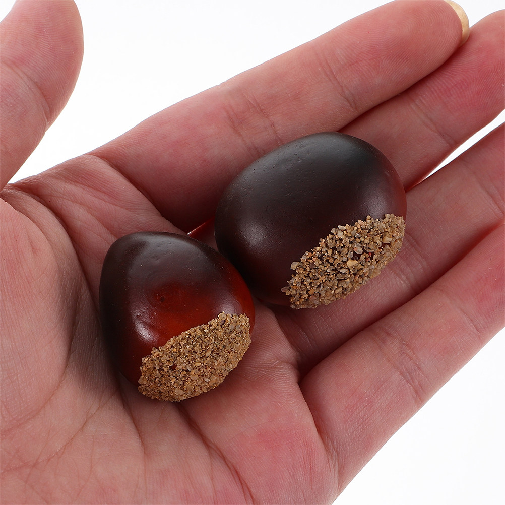 30Pcs Fake Nuts Decor Lifelike - đánh giá và giá Photography Aesthetic
