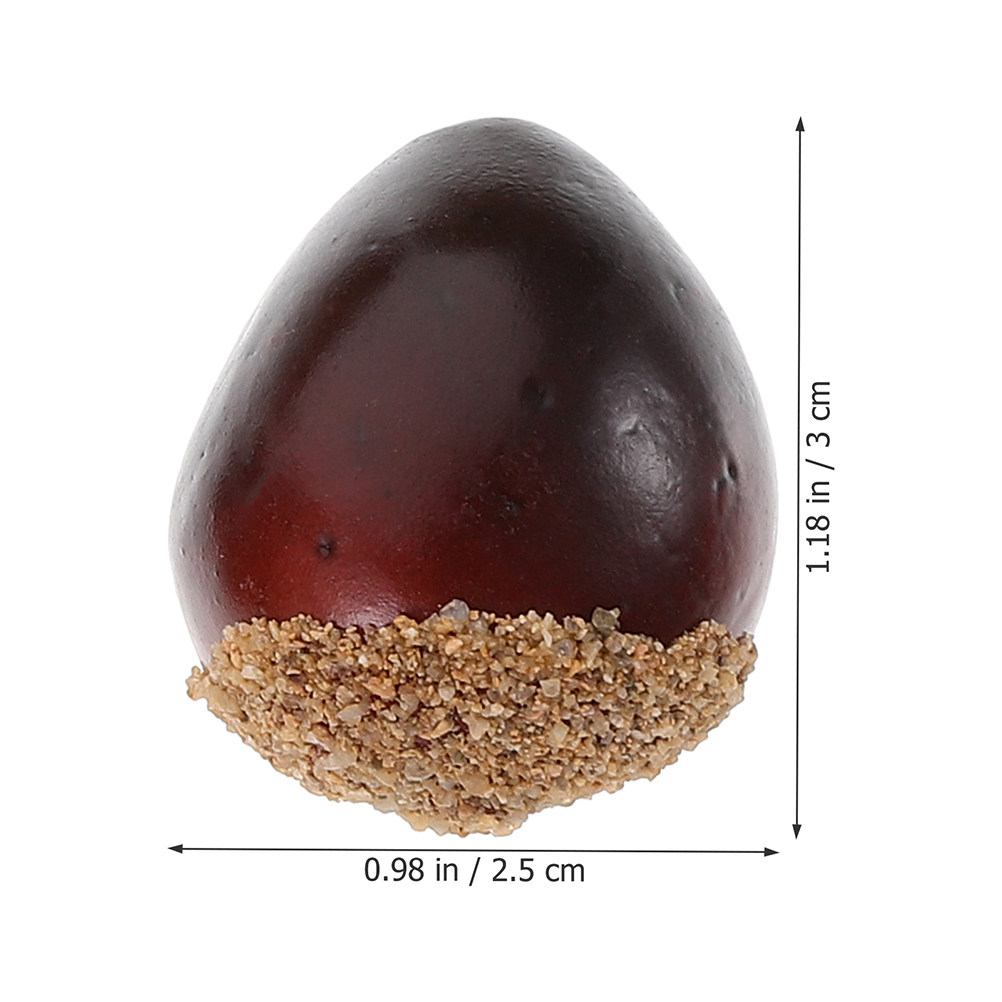30Pcs Fake Nuts Decor Lifelike - đánh giá và giá Photography Aesthetic